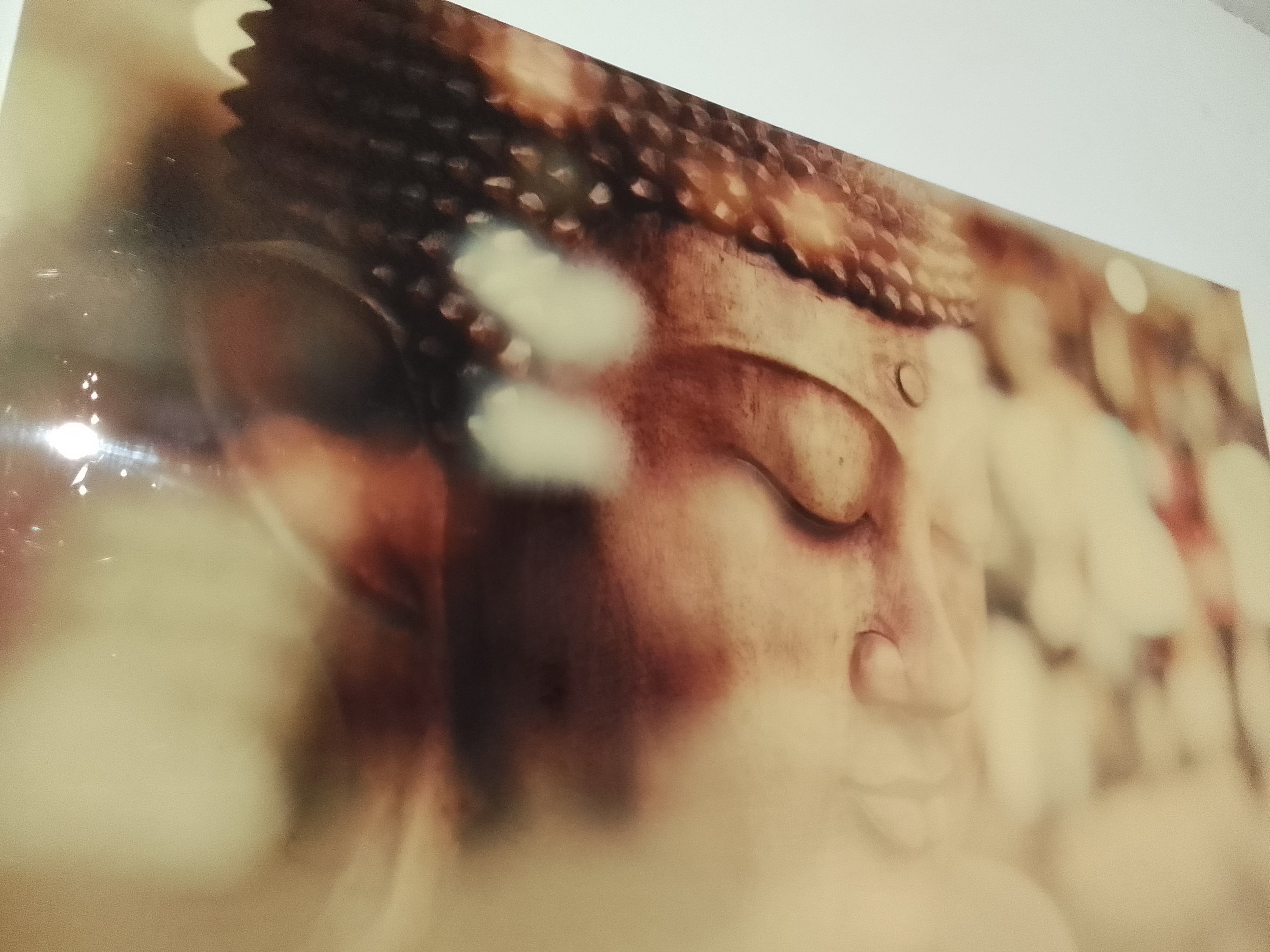 Cosy, calm spacious flat