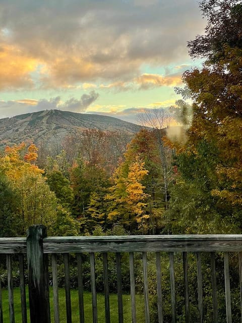 Mount Snow Vista Cabin • Hot Tub & Sauna
