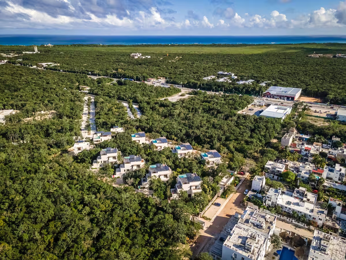 Jungle Oasis 2BD w Rooftop Pool | Tuané
