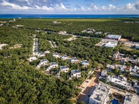 Jungle Oasis 2BD w Rooftop Pool | Tuané