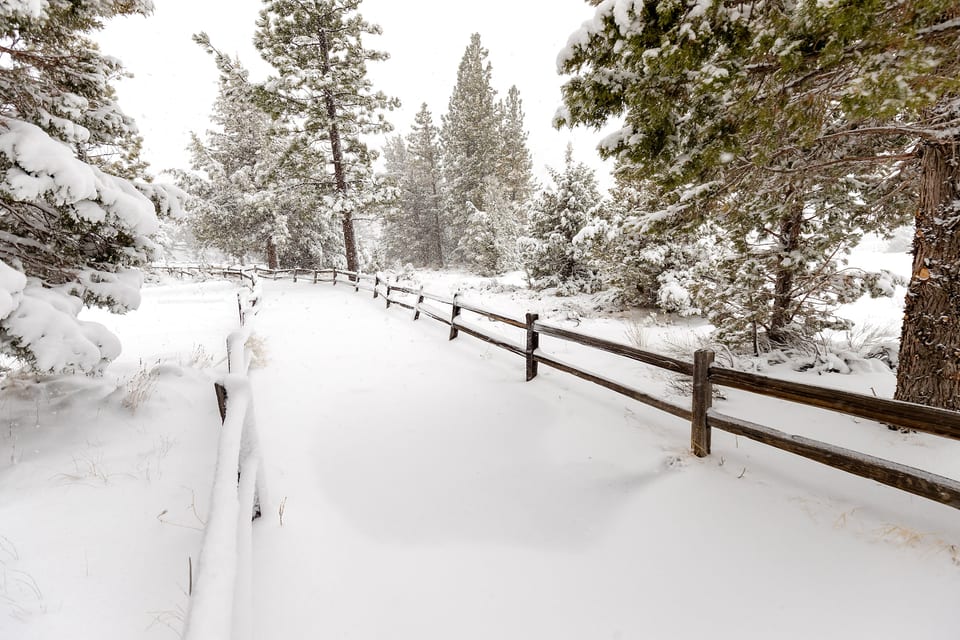 Hot Tub • Stargaze • Hammock • WrapAround Deck - Big Bear Lake