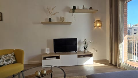 living room smart TV