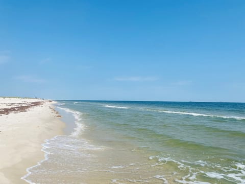Tranquil Tides