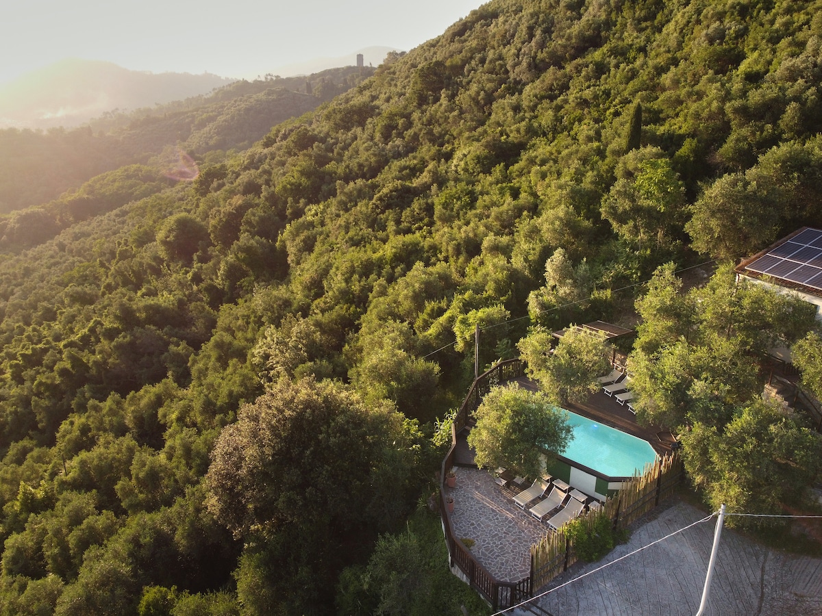 La Lucertola Pisa/Lucca - Pool, Views LeaningTower image 1