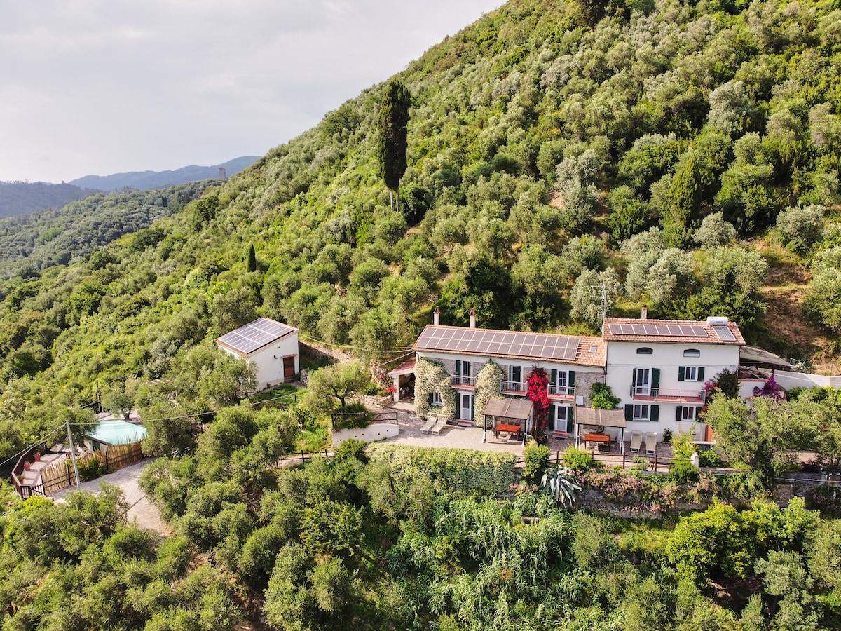 La Lucertola Pisa/Lucca, Pool, Tower & Sea Views image 1