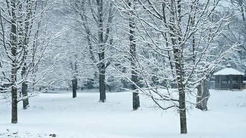 The Pomeroy Place | Gazebo, Fire Pit, Trails