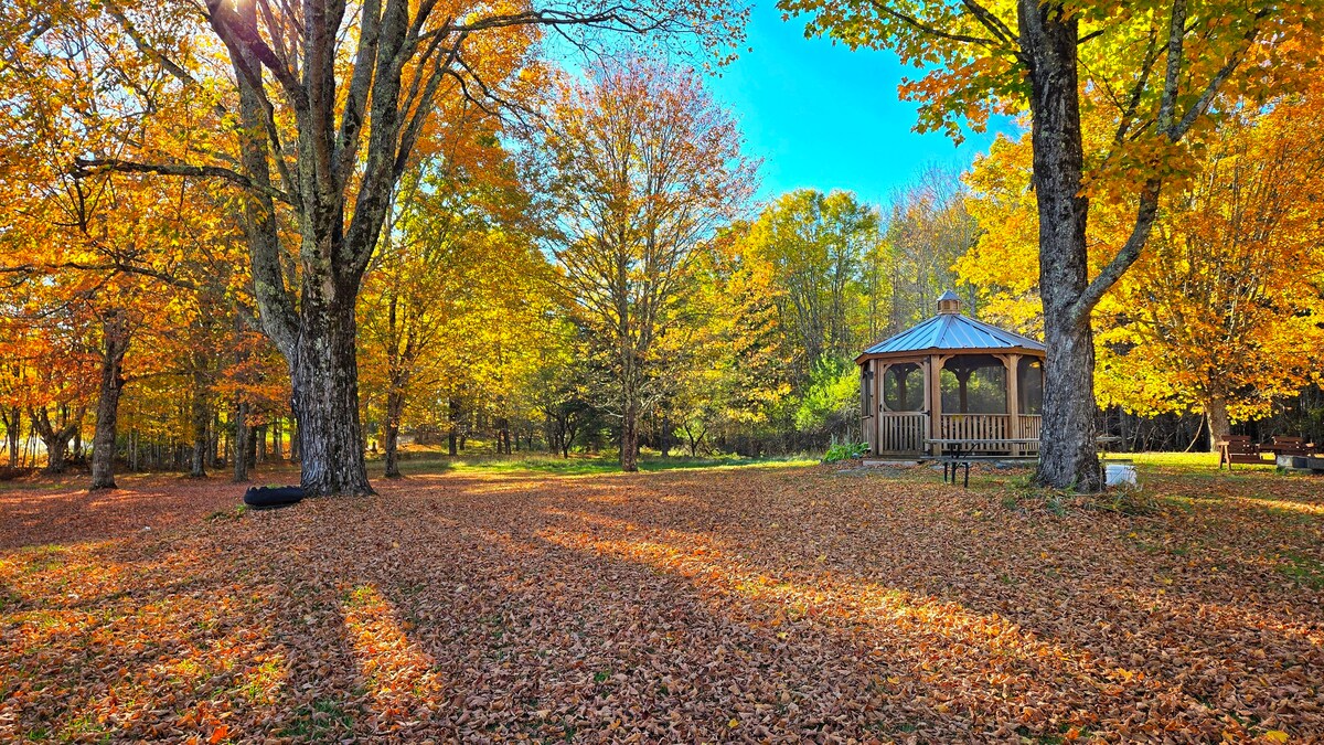 Backyard Bliss | Bangor, Day Trips, Foliage | Pets image 1