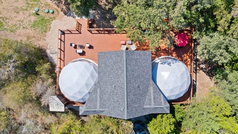 The Bird House | 6 Beds 2 Baths
