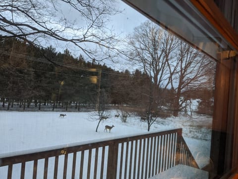The deer visit frequently at all time of the year!