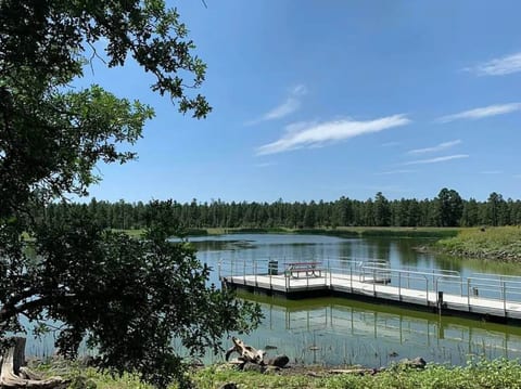 Tranquil lake fishing, forest trails, wildlife viewing, and dog-friendly walks. Experience authentic White Mountains beauty without leaving the neighborhood.