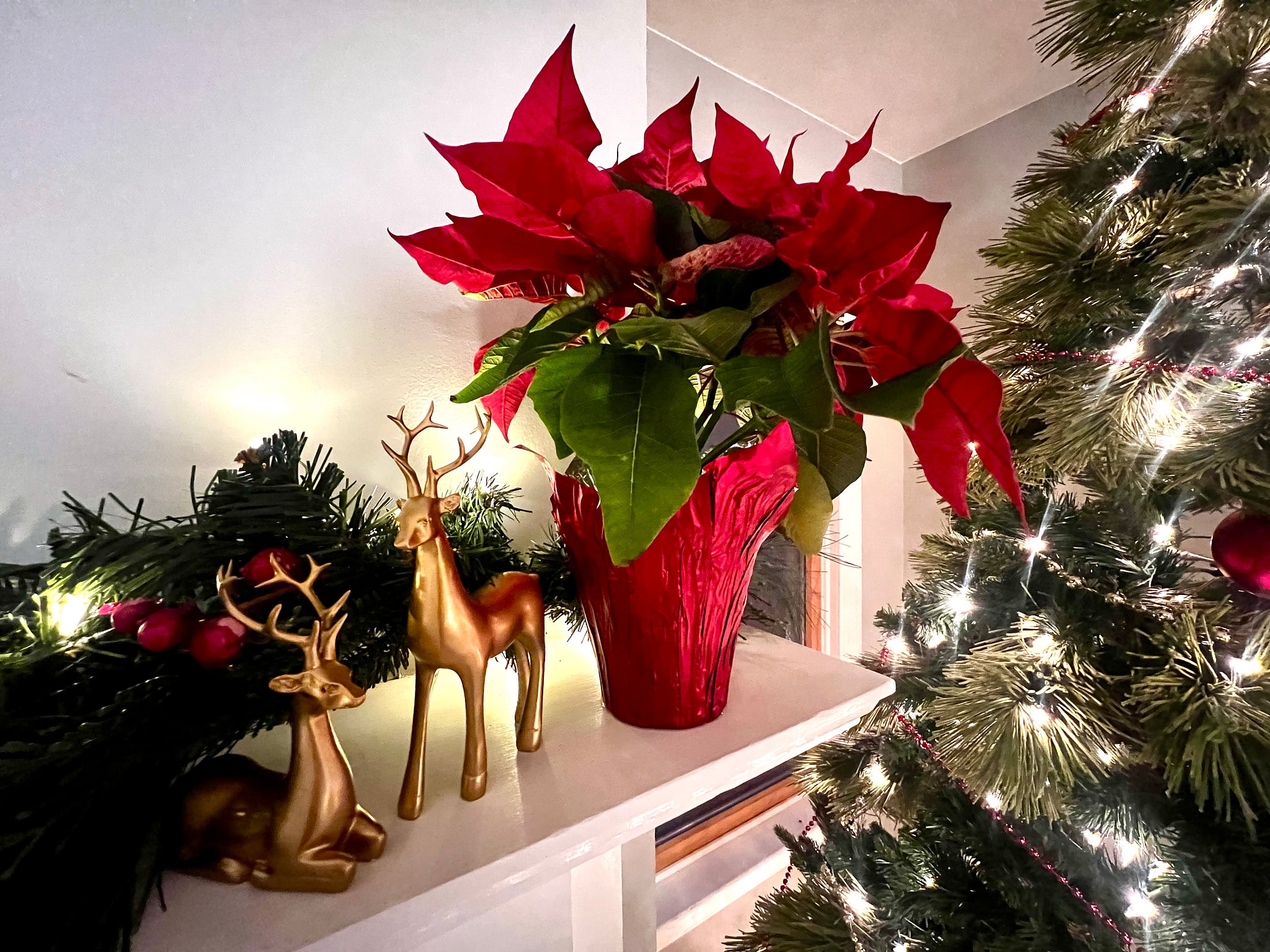 Charming 3BR Farmhouse • Wine Country Getaway