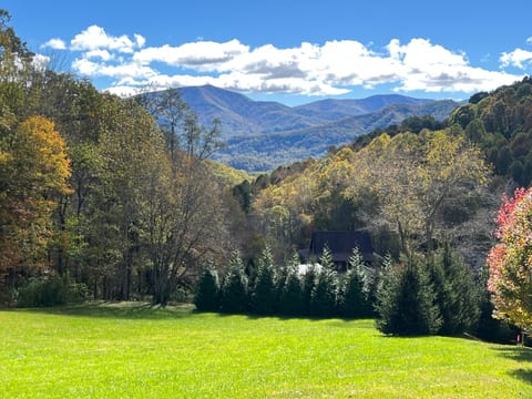Picnic or enjoy morning coffee on the property's gorgeous knoll while taking in the magnificent southeastern views.