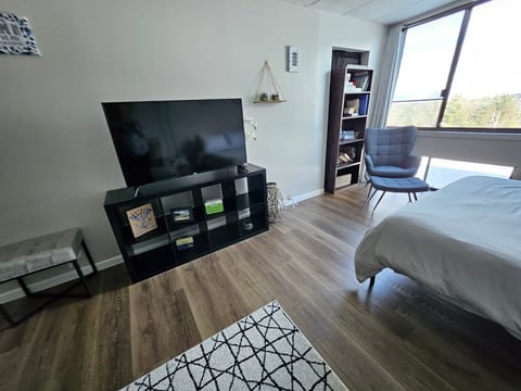 Cedar Lodge condo with mountain & lake Winnipesauke views!