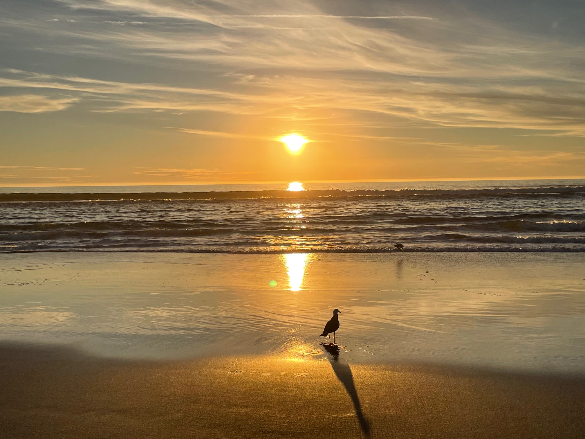 Beachfront living at its finest!