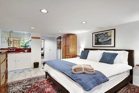 Apt - Large studio bedroom with King size bed, wet bar, and Hayden sofa bed. 