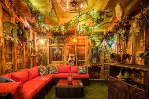 Experience another world inside the backyard cantina