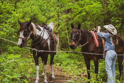Willie & Pistol, waiting for riders to finish a waterfall spring tour