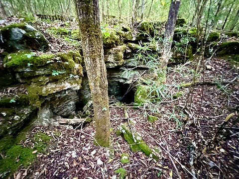 Round Hill Cave is about a 15 minute hike from the lodge, located on the south side of the farm