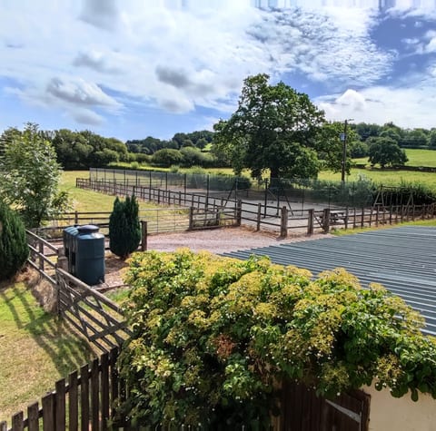 View from Master Bedroom