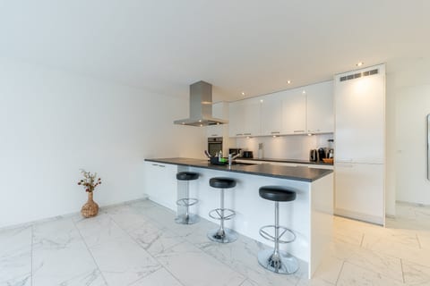 Swiss Suites Safenwil Attika