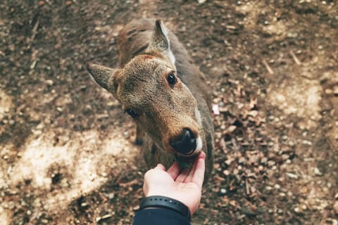 Blue Hues & Lake Views