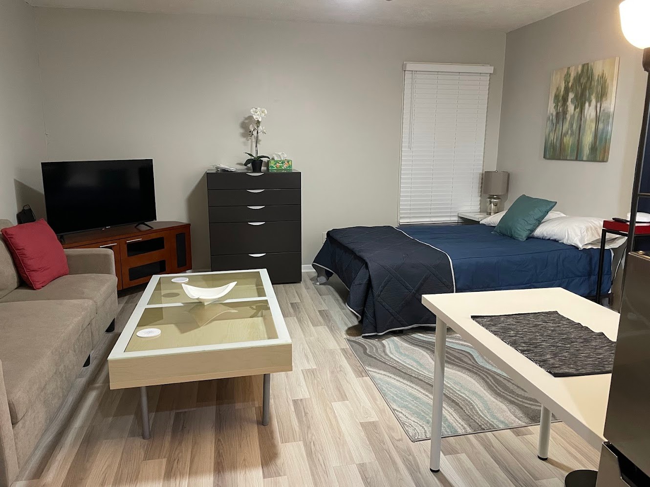 Furnished Housing Amenity Choices