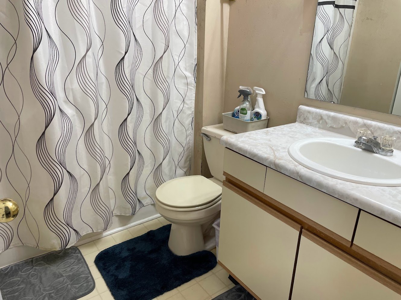 Furnished Housing Amenity Choices