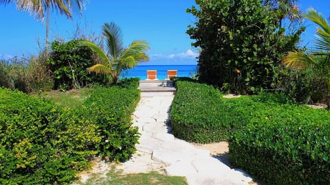 Sea Forever