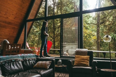 Forest vibes