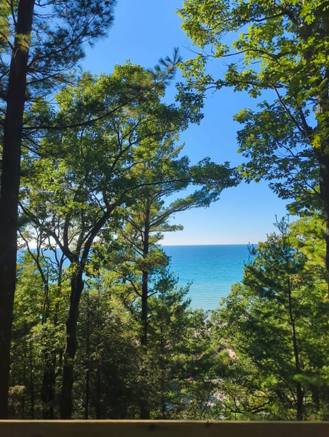 View from the house