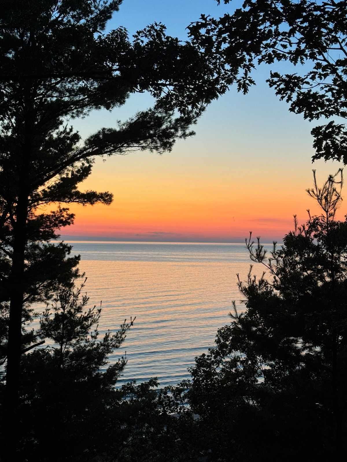 The Treehouse at Duna Vista | Crow’s Nest Views