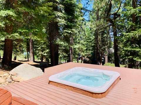 This was the old spa. We've replaced it with a brand new Platinum saltwater spa. Yet this photo still does a good job of showing the position of the spa and the beautiful surroundings