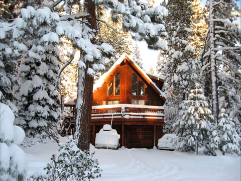 Snowy Treehouse Chalet with snow and sun