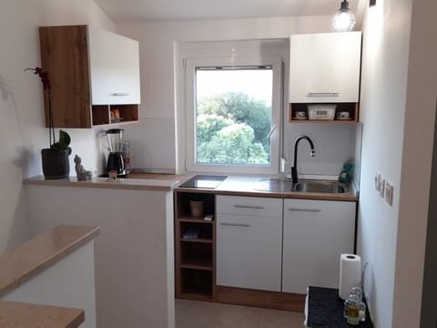Apartment Smokvica