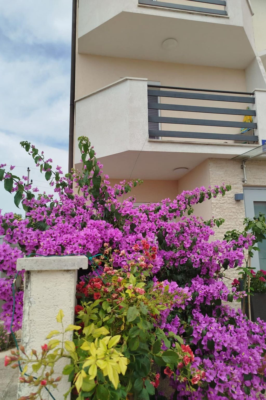 Apartment Smokvica