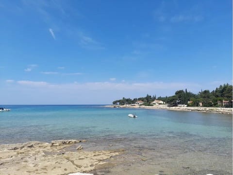 Wohnung in der Nähe von Seaside