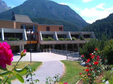 Ferienpark Tulai Kamm, 1 - 4 Personen