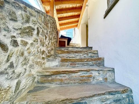 casa M