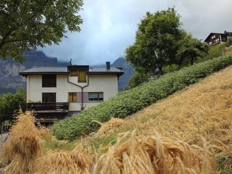 Haus Xaver - Albinen