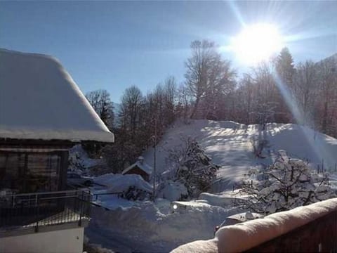 Glyssen 22 Schwanden