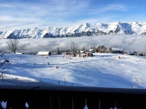 Gemütliche Ferienwohnung auf der Axalp
