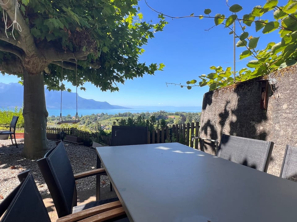 Vigneronne, Vigne - Montreux