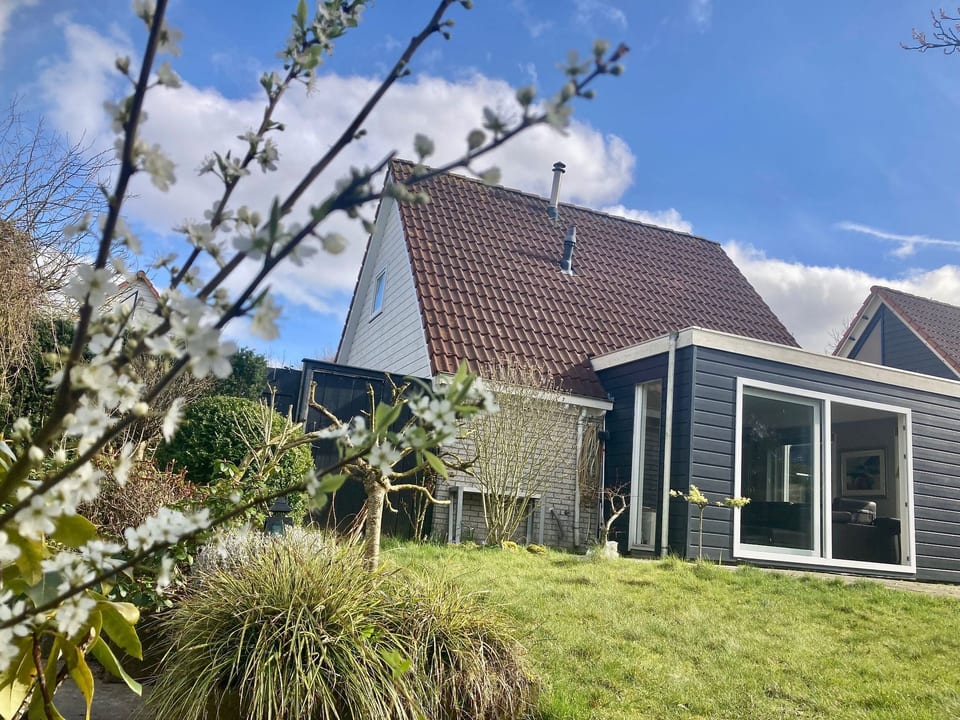 120 Dijkrose - Eanjum