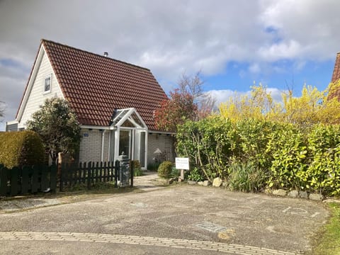 120 Dijkrose