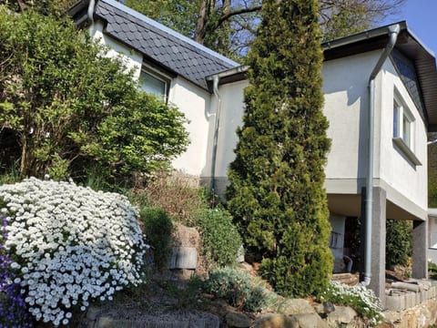 in Pirna mit Schöner Terrasse