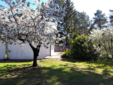 mit Terrasse mitten im Grünen