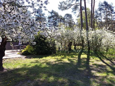 mit Terrasse mitten im Grünen