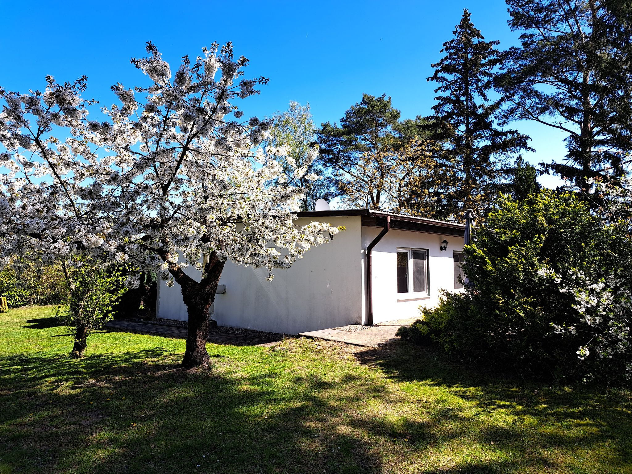 mit Terrasse mitten im Grünen