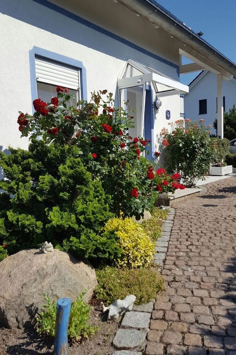 Froschhaus