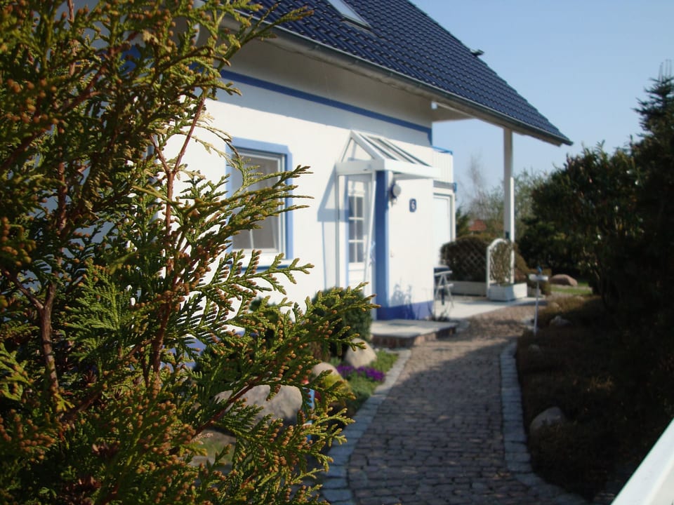 Froschhaus - Dranske